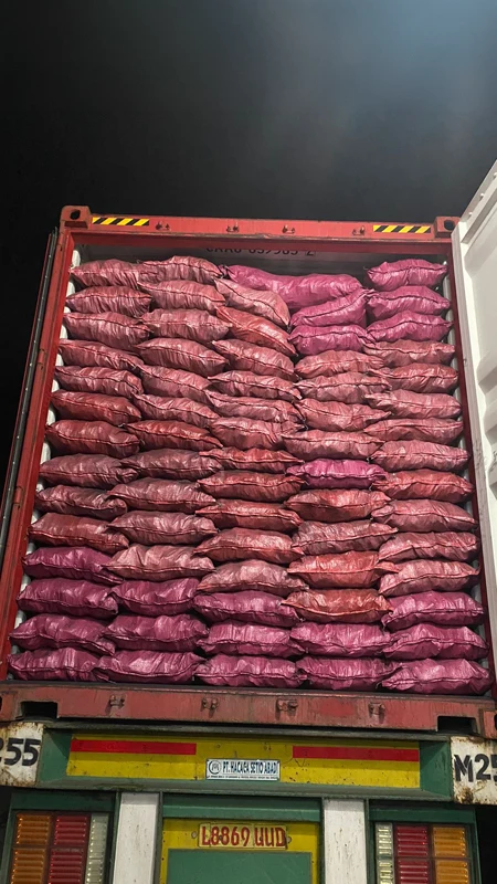 Container stuffing 1
