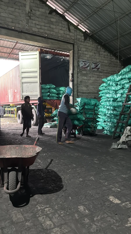 Container stuffing 3