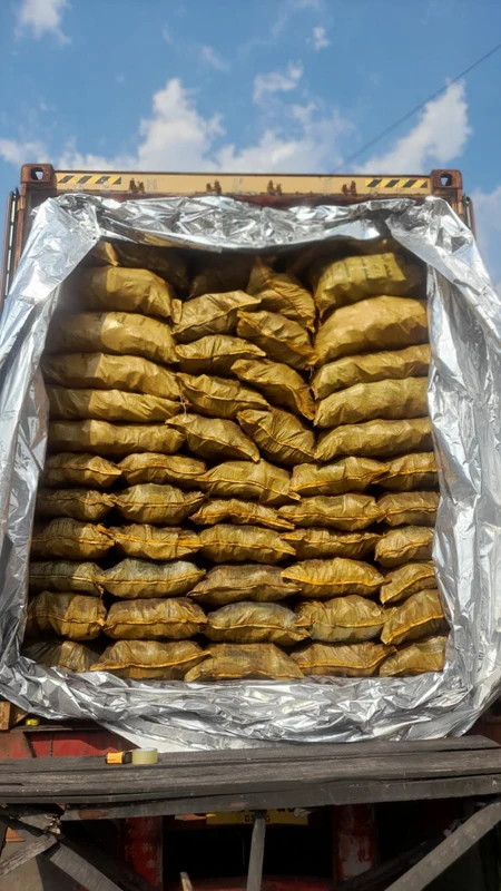 Container stuffing 6